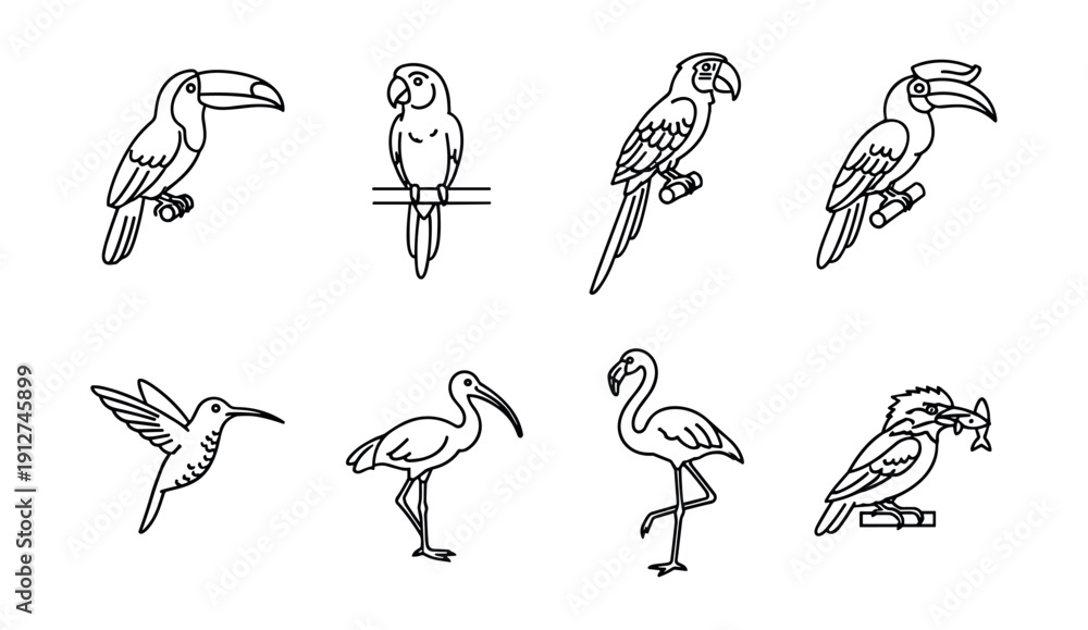 Fototapeta premium Bird Line Drawings Set