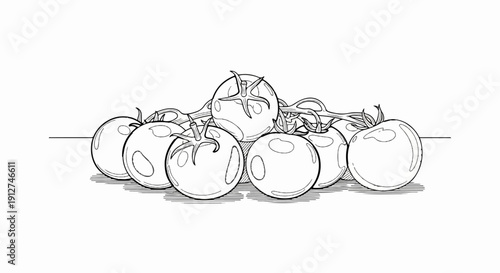 A line drawing of ripe tomatoes on a vine with stems and leaves