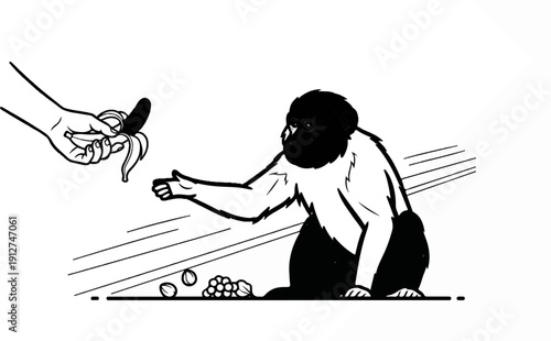 A person offers a banana to a primate reaching out for it