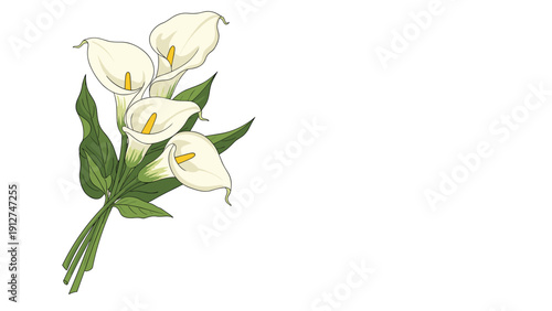 Elegant bouquet of white calla lilies with green stems and leaves arranged beautifully on a plain white background for floral design.