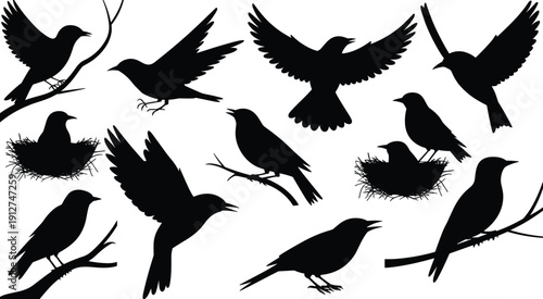 Black bird silhouettes collection featuring perching and flying songbirds with nests isolated on gray background, vector wildlife illustration set