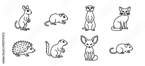 Animal Outline Illustrations Set