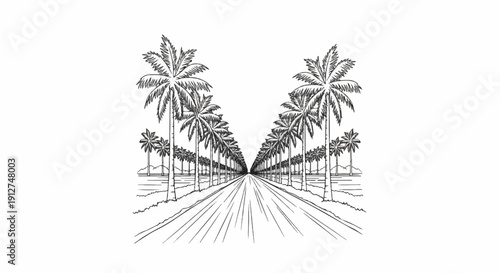 A perspective drawing of a road lined with palm trees stretching to the horizon