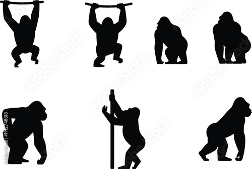 Gorilla silhouette pose collection illustrating powerful primate stances, standing and knuckle walking positions, and wildlife animal forms isolated on dark background