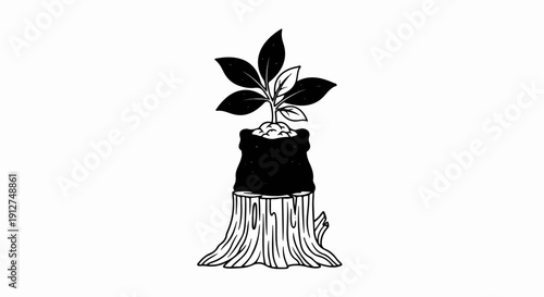 A new seedling sprouts from a black bag on a tree stump