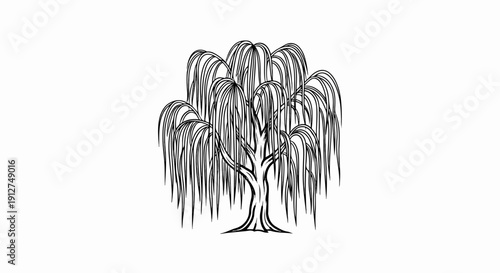 A solitary weeping willow tree with a textured, hand-drawn outline