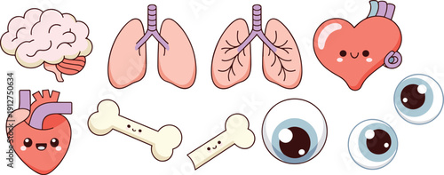 Cute human organs cartoon set illustration including brain, lungs, heart, bones and eyes, kawaii medical anatomy icons collection isolated on white background.