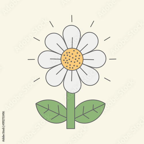 Blooming White Daisy Flower with Green Leaves and Radiant Sunburst Lines
