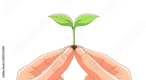 Nurturing Hands Holding Tiny Green Seedling Sprout, New Growth Cartoon Illustration on White Background