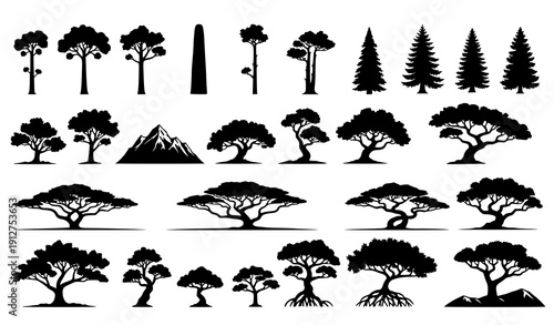 Huge Tree Silhouette Vector Collection of 40 Biome Trees Rainforest Savanna Desert and Alpine Forest on White