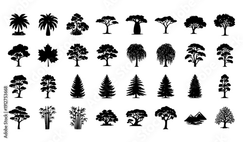 Big Tree Silhouette Vector Set with 36 Forest Tropical Desert and Mountain Tree Shapes on White Background