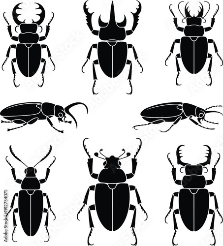 Beetle silhouette set with stag beetles and rhinoceros beetles, black insect icons collection, entomology wildlife symbols isolated on white background.