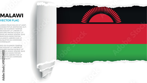 Flag of Malawi. Flag revealed through torn paper rolled up on a transparent background