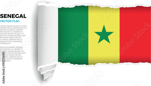 Flag of Senegal. Flag revealed through torn paper rolled up on a transparent background