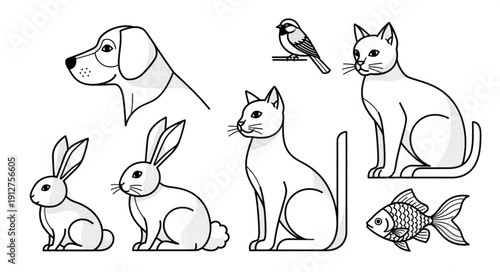 Collection of Hand Drawn Domestic Animals and Pets.