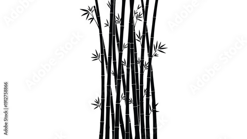 Silhouette of bamboo stalks and leaves set against a white background for zen and oriental nature design projects and murals.