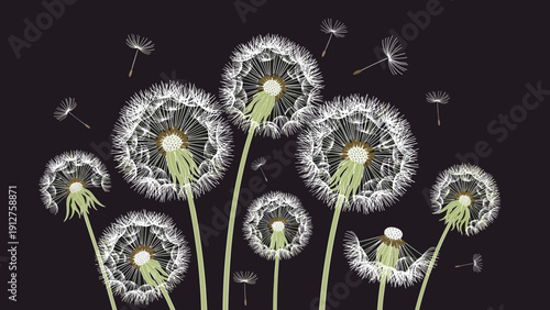 Stylized illustration of dandelion seed heads with floating seeds against a dark background in a modern artistic style.