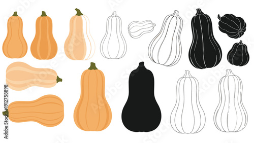 Set of butternut squash illustrations showing different graphical styles from realistic color to minimalist black silhouette icons.
