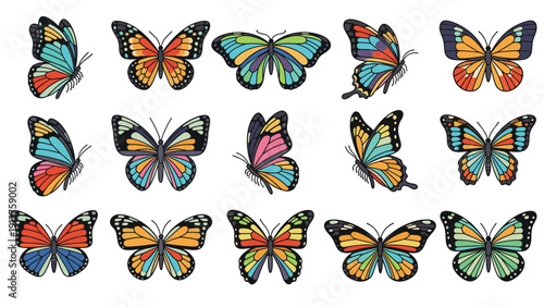 Collection of colorful butterfly illustrations with different wing patterns and shapes for nature and biology theme projects.