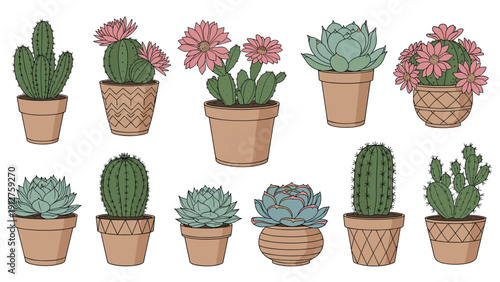 Set of different cacti and succulents in terracotta pots with pink flowers in a hand-drawn style isolated on white background.