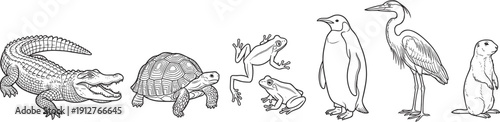 Wildlife animal engraving collection with crocodile turtle frog penguin heron and beaver detailed vector illustration