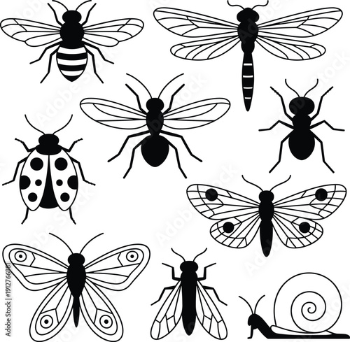 Black and white insect silhouette set with bee, dragonfly, ant, ladybug, butterflies, moth, fly and snail, simple nature icon collection isolated