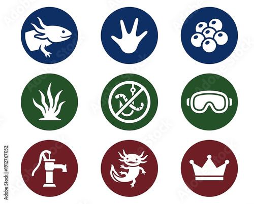 Colorful flat round vector icons collection of axolotl life cycle showing eggs, footprints, aquatic plants, water pump, swimming salamander and prohibition signs for aquarium hobby.