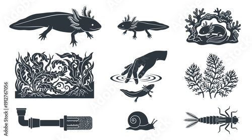 Detailed black silhouette vector illustration set of axolotl in natural habitat with underwater plants, hiding cave, snail, dragonfly larva, aquarium filter and hand interaction.