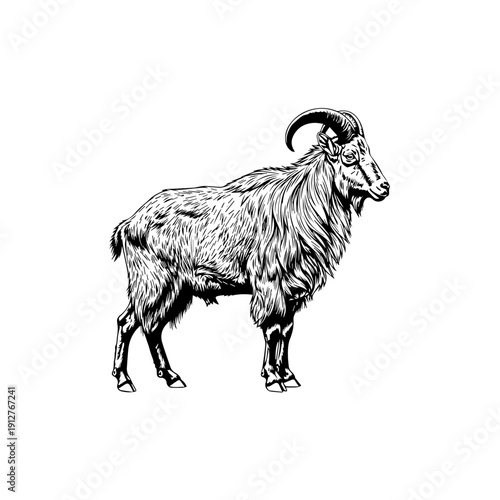 Minimalist icon representing a vector file format