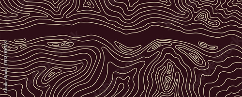 Brown Line Topographic Map Background. Topo Mountain Map Bg. Topography Contour Terrain Relief Graphic. Vector Illustration