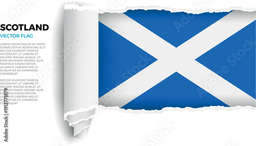 Flag of Scotland. Flag revealed through torn paper rolled up on a transparent background