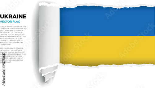 Flag of Ukraine. Flag revealed through torn paper rolled up on a transparent background