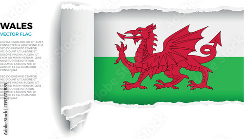 Flag of Wales. Flag revealed through torn paper rolled up on a transparent background
