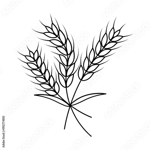 Three Stalks of Wheat Drawing