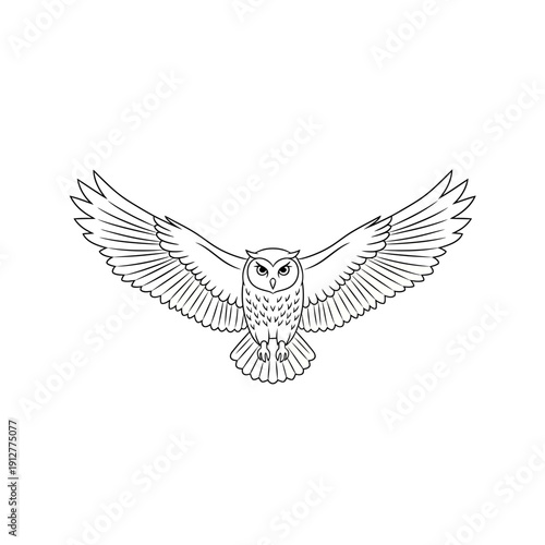 Flying Owl Silhouette Illustration, Wisdom and Knowledge Mascot Logo, Night Bird Predator Vector Graphic