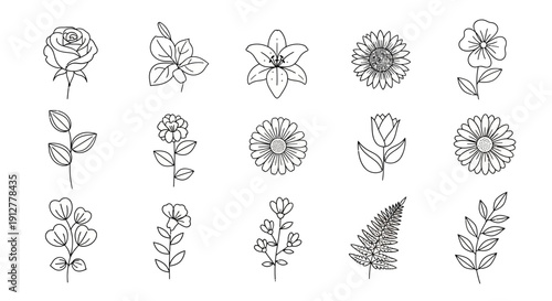 Botanical Line Art Flowers and Plants Set, Hand Drawn Floral Illustrations Collection