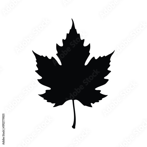 lobed leaf silhouette vector illustration, Silhouette of a maple leaf showcasing intricate details in a vector illustration design