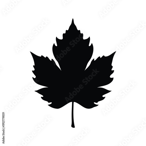 lobed leaf silhouette vector illustration, A detailed black and white silhouette of a maple leaf with intricate veins, perfect for autumn designs