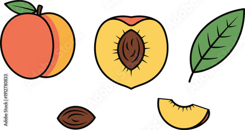 Fresh green indoor houseplants in clay pots, decorative collection of various leaves for home gardening on white background.