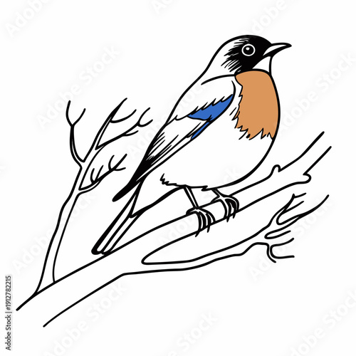 A cute vector illustration of a black bullfinch and a wild crow perched on a winter tree branch featuring elegant silhouettes of wings and feathers in a nature art design