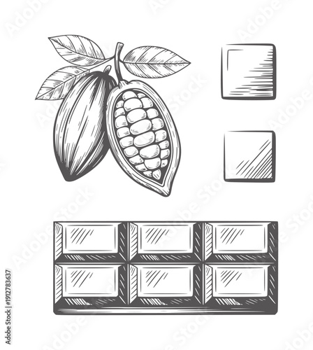 Black and ink of cocoa pods and chocolate bar bean