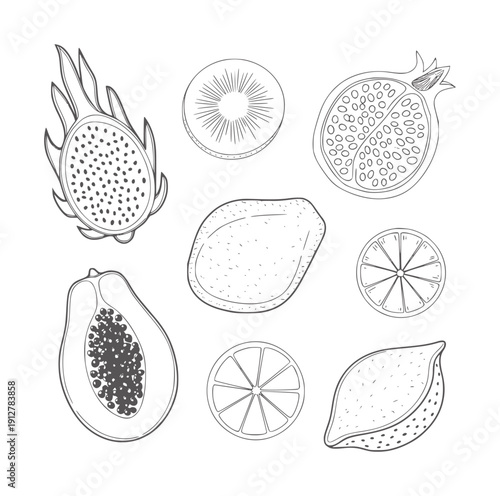 Black and line of assorted tropical fruits and citrus slices dragonfruit papaya