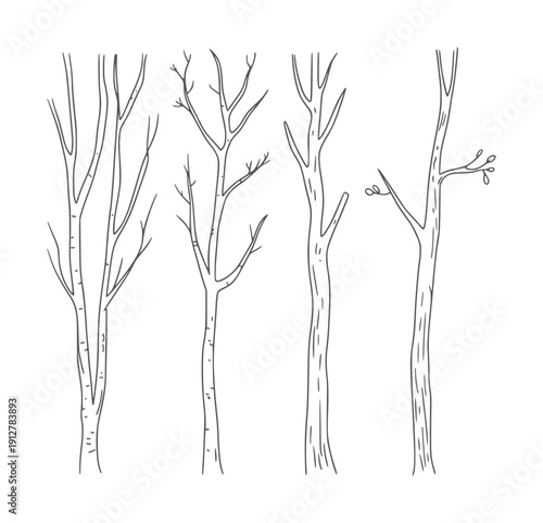 Black and line of four bare tree trunks