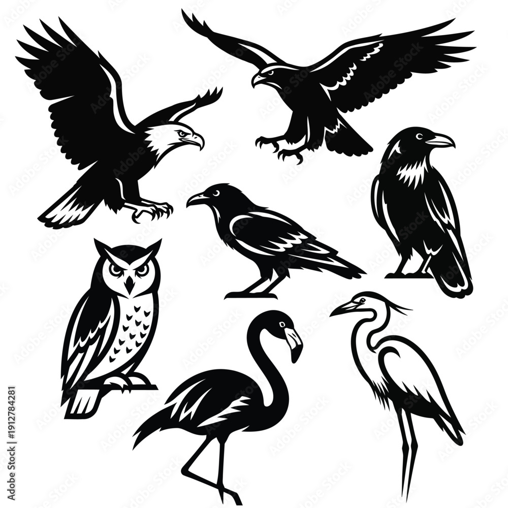 Fototapeta premium Collection of various birds in black silhouettes flying and standing