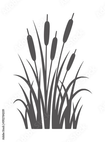 Black and silhouette of cattails and grass reeds