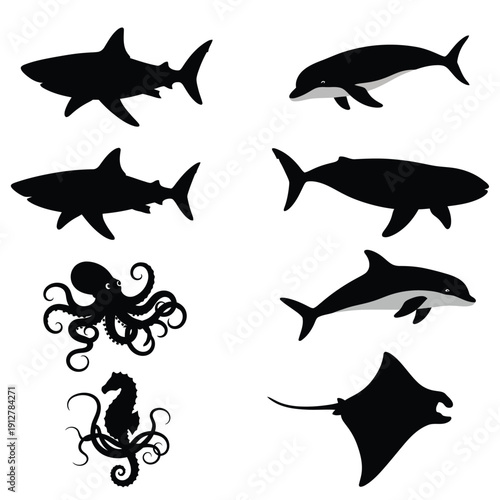 Diverse ocean creatures collection illustration
