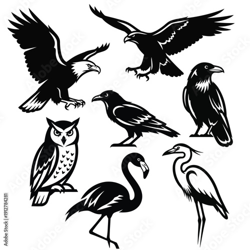 Collection of various birds in black silhouettes flying and standing