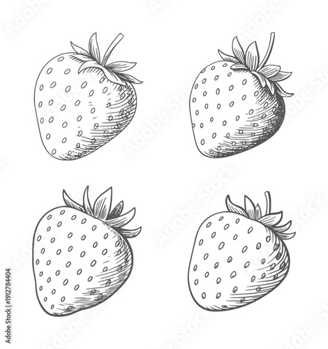 Four black and line of strawberries with seeds and leaves strawberry fruit food outline