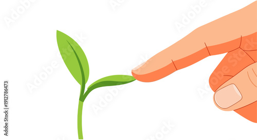 Finger Touching Young Seedling Plant: Symbol of Growth, Investment, and Environmental Nurturing Isolated Vector Illustration