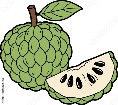 Custard Apple Whole and Slice Cartoon Vector Illustration of Fresh Tropical Sugar Apple Fruit
